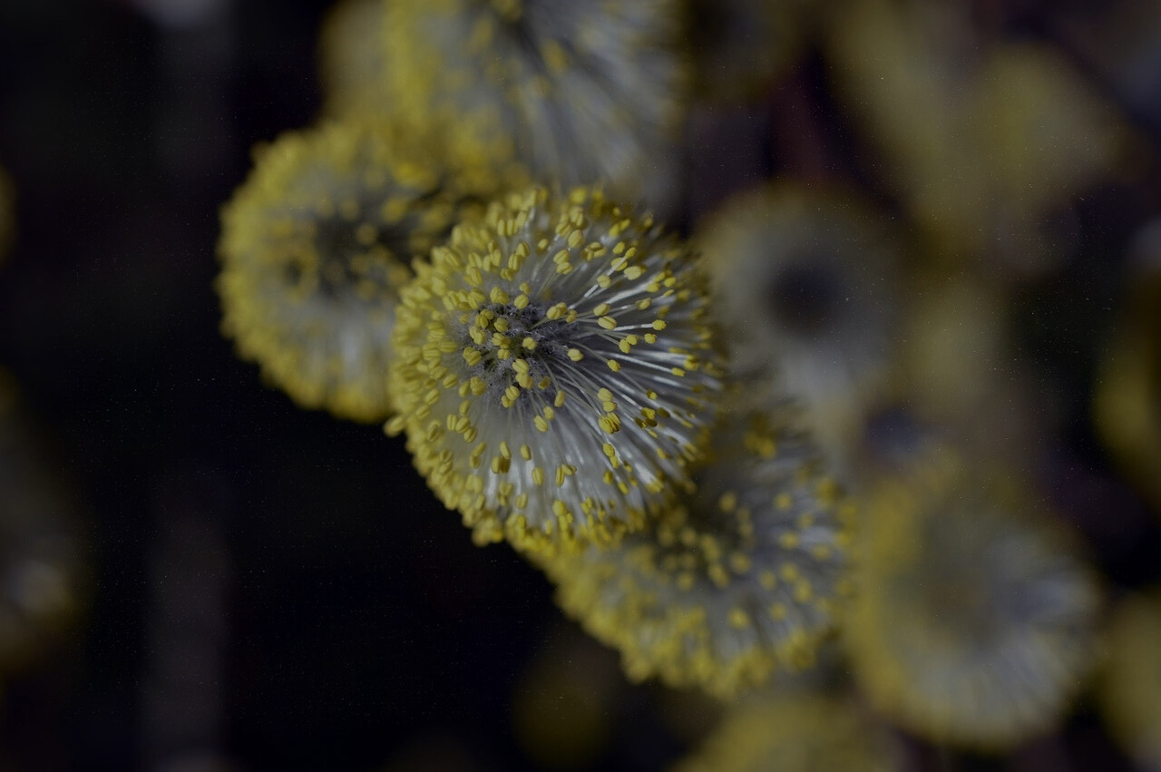 bg_img_contact_block4